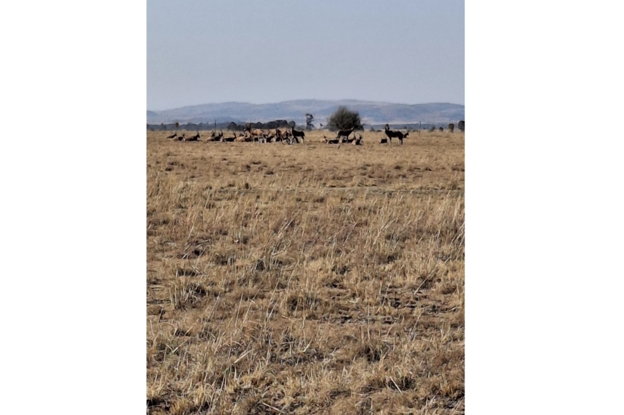 7 Bedroom Property for Sale in Oranjeville Free State